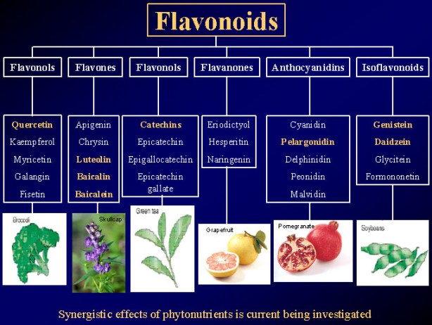 FlavonoidsTypes2
