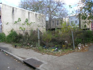 PhiladelphiaLandCareProgram1