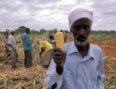 AfricaCornFarmers2