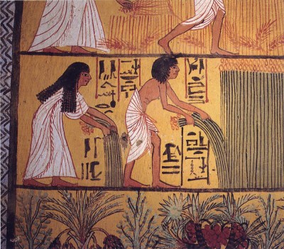 Egyptian_harvest2