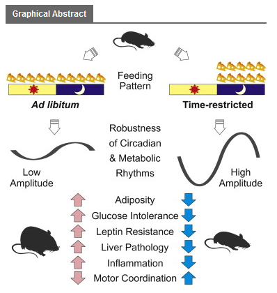TimeRestrictedGraphic1