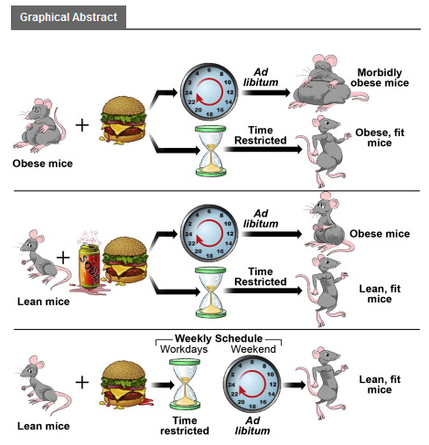 TimeRestrictedGraphic2