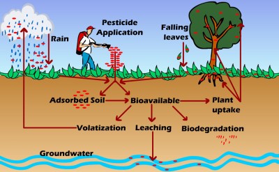 PersistentOrganicPollutants2